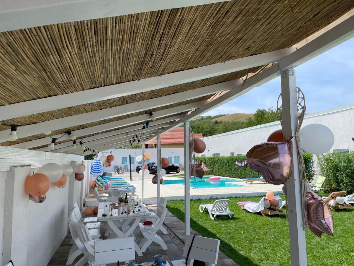 Apartament Blue Sky Transalpina Săsciori Zewnętrze zdjęcie