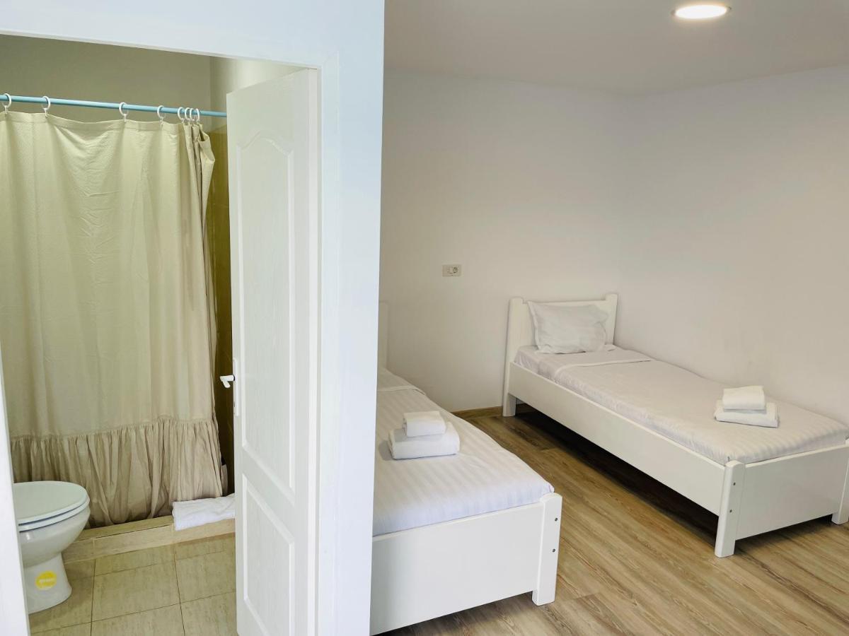 Apartament Blue Sky Transalpina Săsciori Zewnętrze zdjęcie